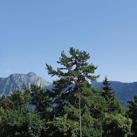 Heidi Lägenhet Leysin Exteriör bild
