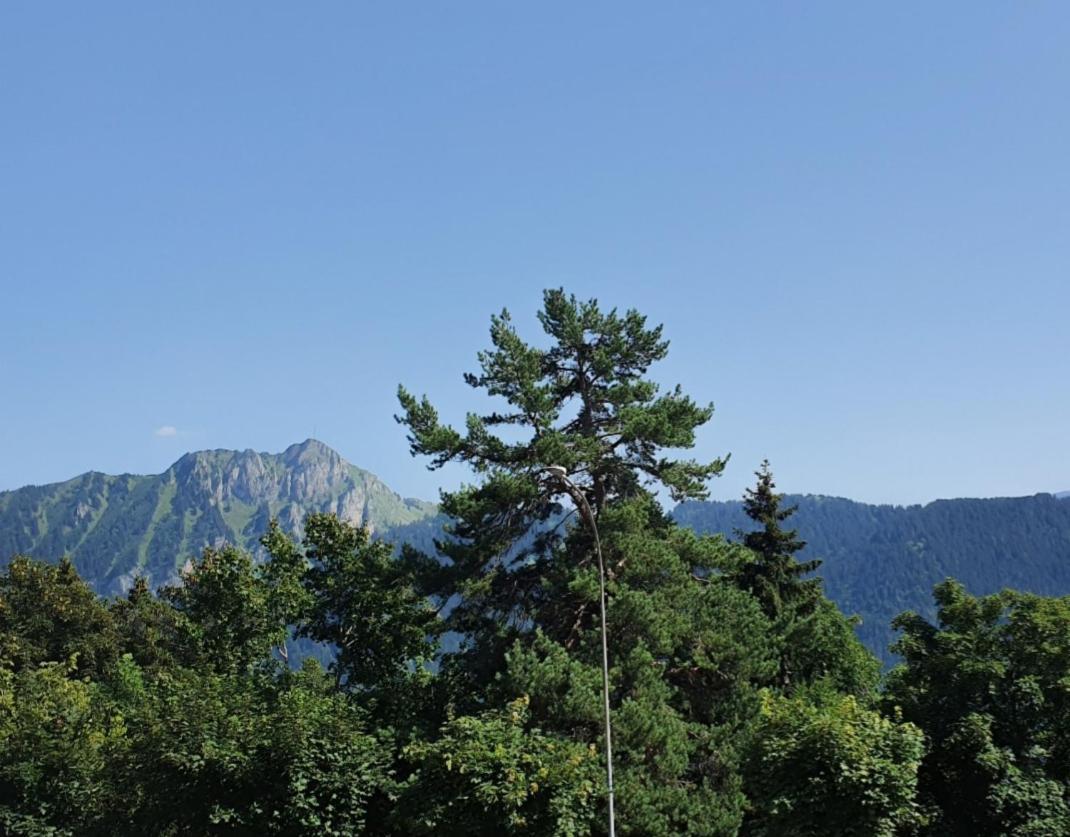 Heidi Lägenhet Leysin Exteriör bild